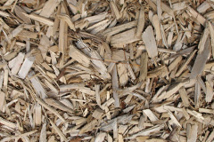 biomass boilers Layton